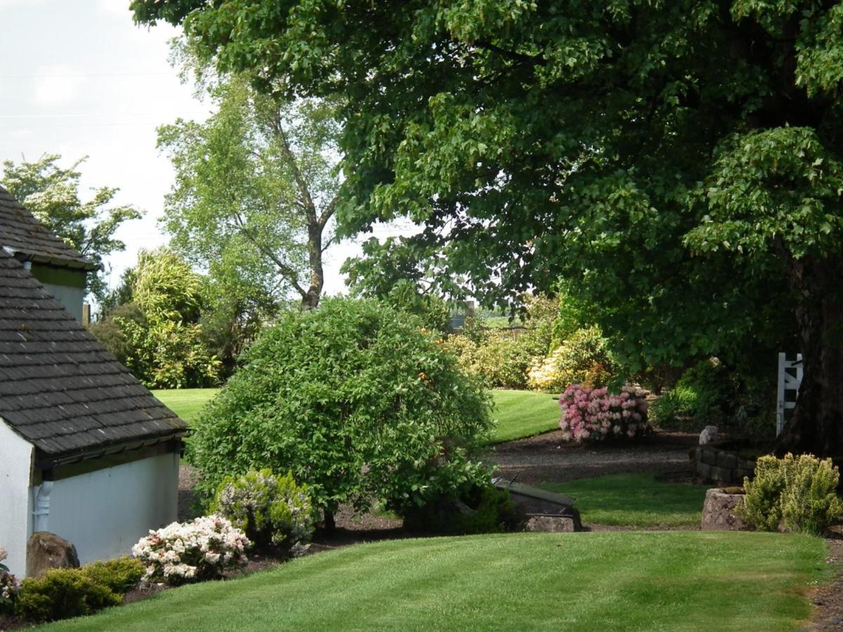 Whitehouse Bed & Breakfast Uplawmoor Eksteriør bilde