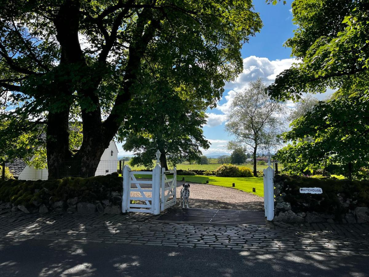 Whitehouse Bed & Breakfast Uplawmoor Eksteriør bilde